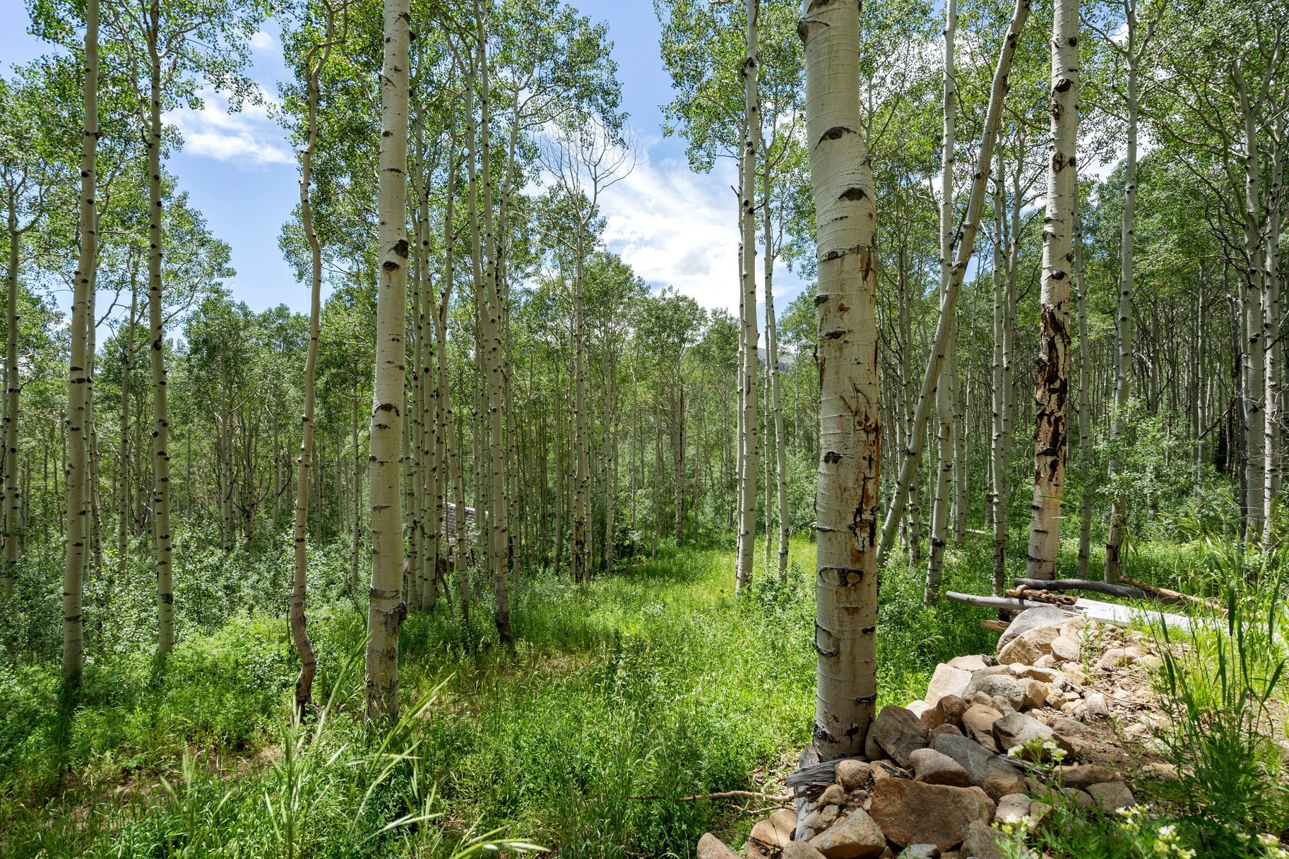 BRIGHTON ESTATES - Land