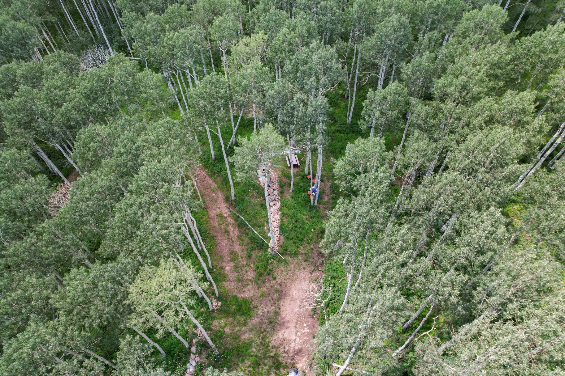 BRIGHTON ESTATES - Land