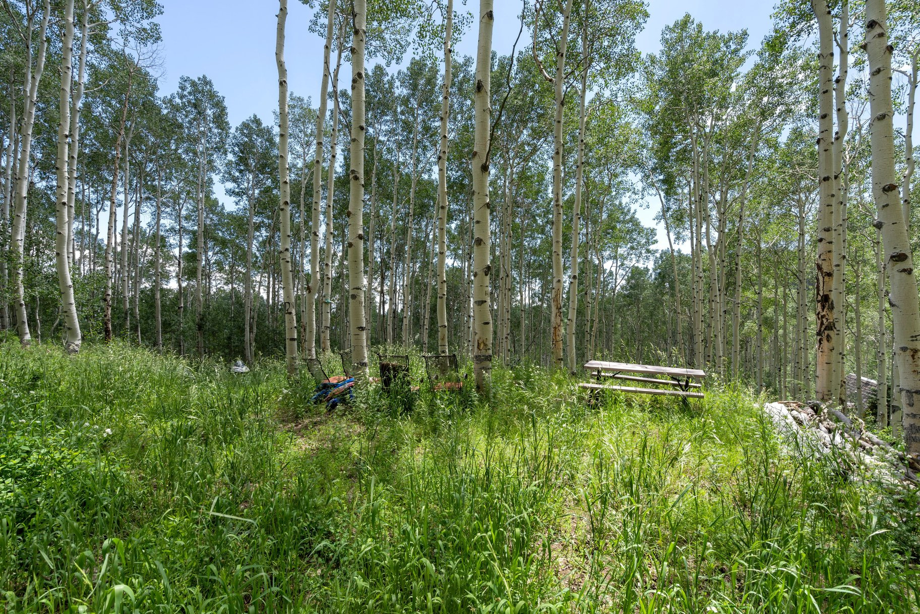 BRIGHTON ESTATES - Land