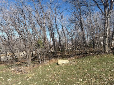 Tiny photo for 1040 S PINEVIEW DR #9, Woodland Hills, UT 84653 (MLS # 2144919)