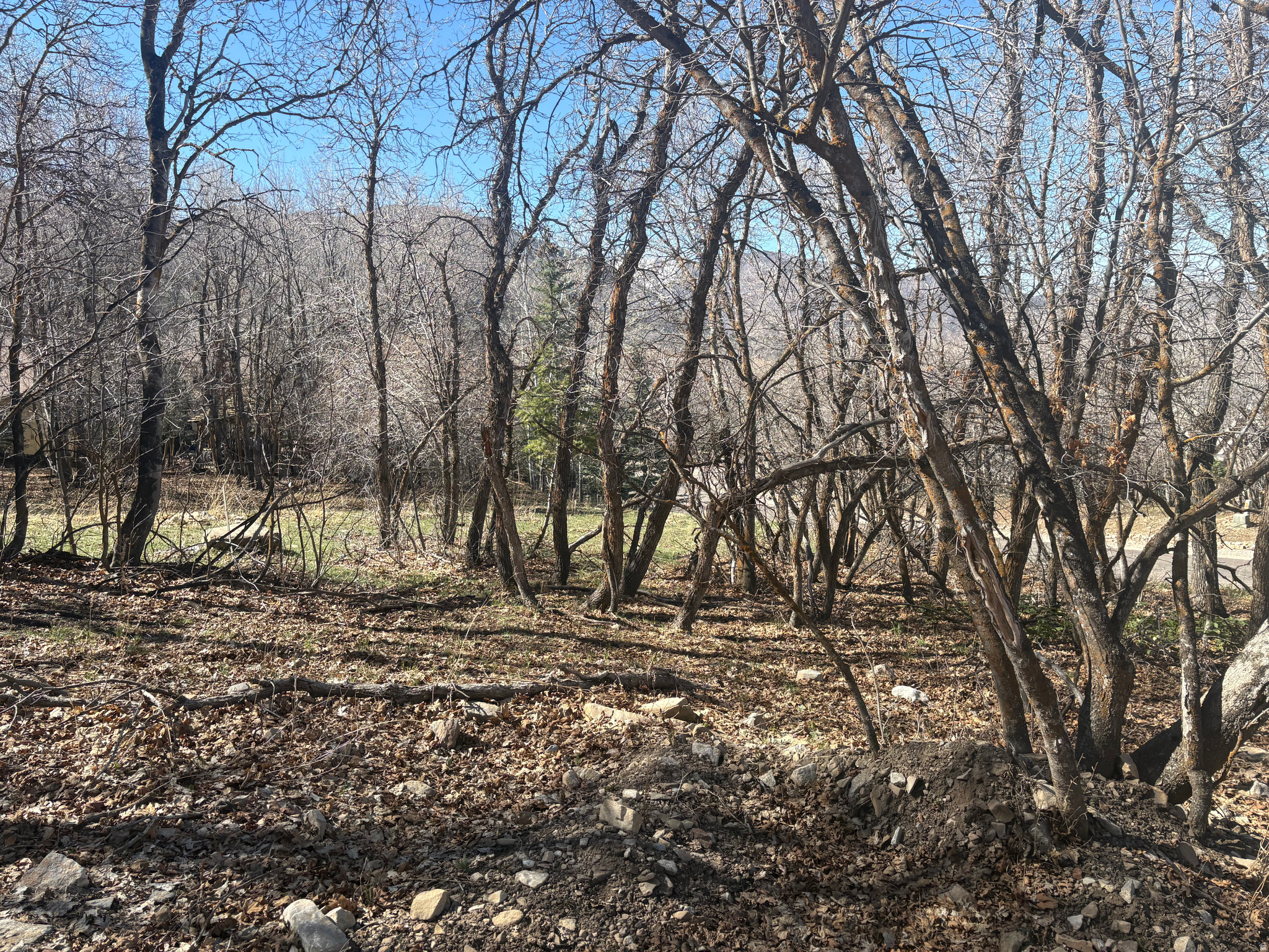 WOODLAND HILLS - Land