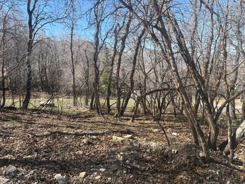 Tiny photo for 1040 S PINEVIEW DR #9, Woodland Hills, UT 84653 (MLS # 2144919)