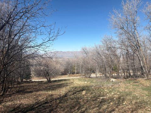 Tiny photo for 1040 S PINEVIEW DR #9, Woodland Hills, UT 84653 (MLS # 2144919)