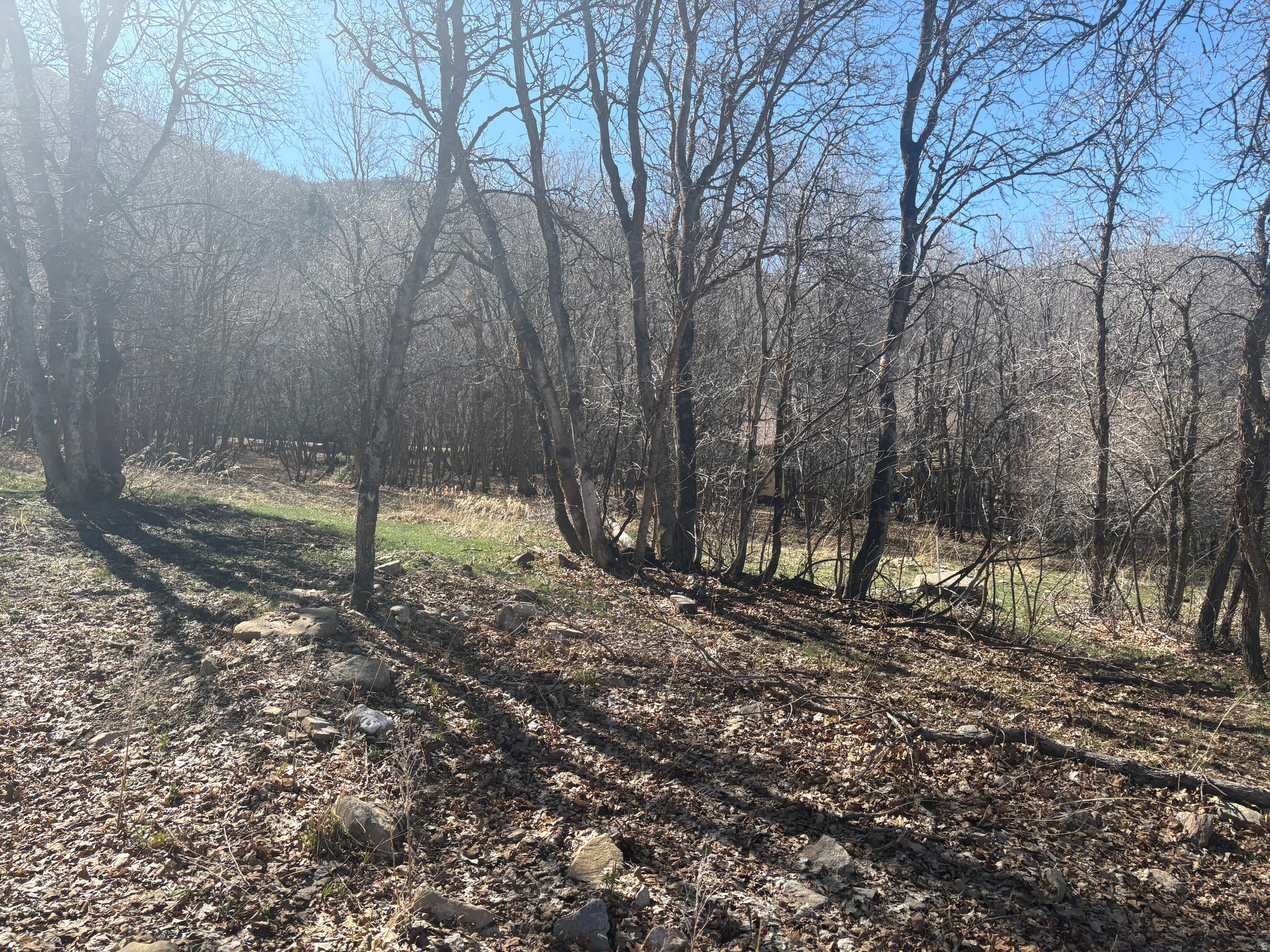 WOODLAND HILLS - Land