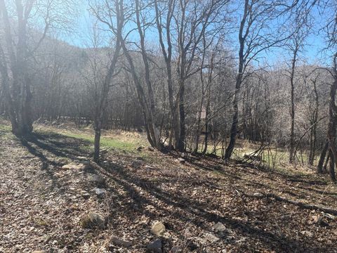 Tiny photo for 1040 S PINEVIEW DR #9, Woodland Hills, UT 84653 (MLS # 2144919)