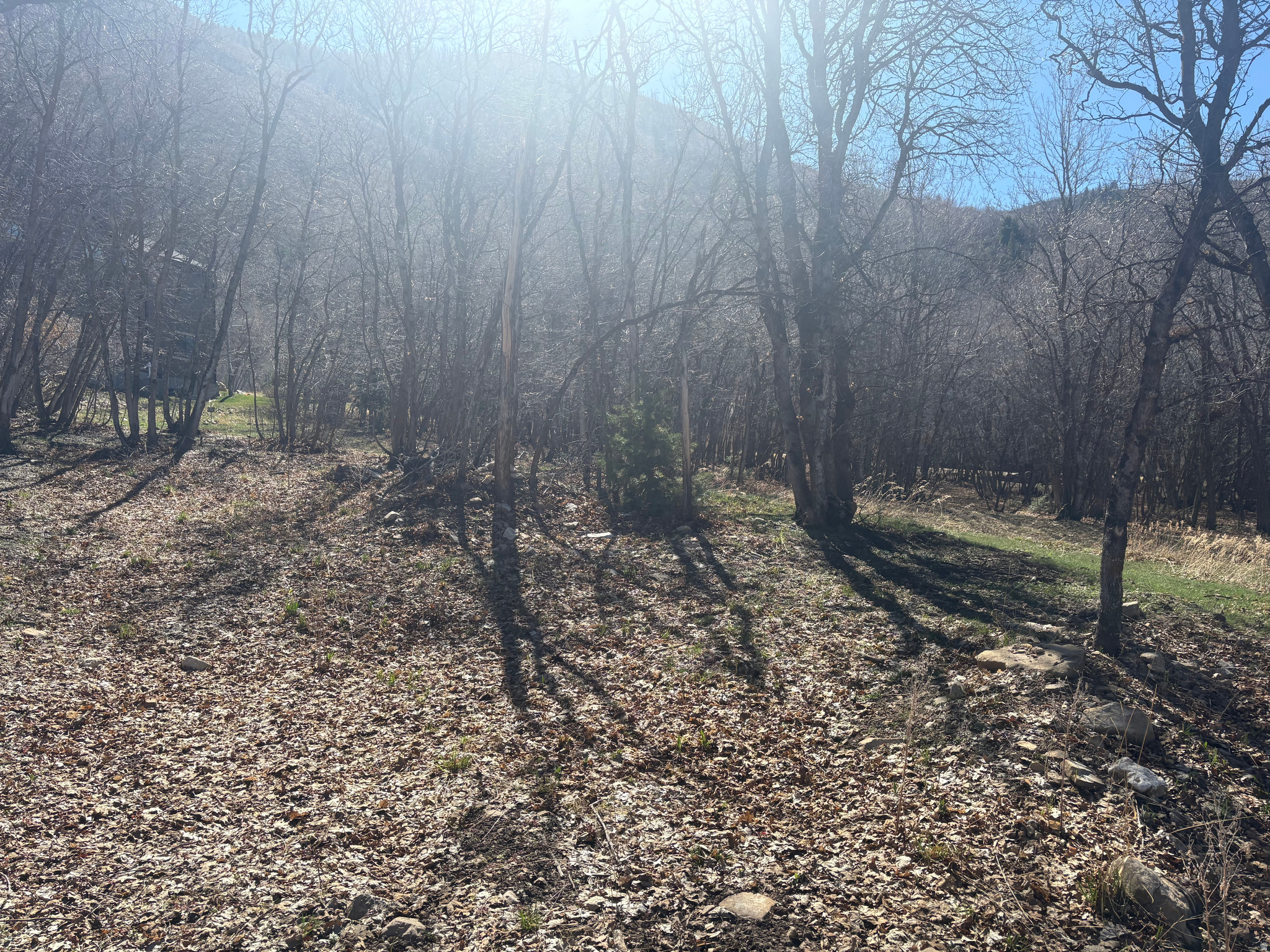 WOODLAND HILLS - Land