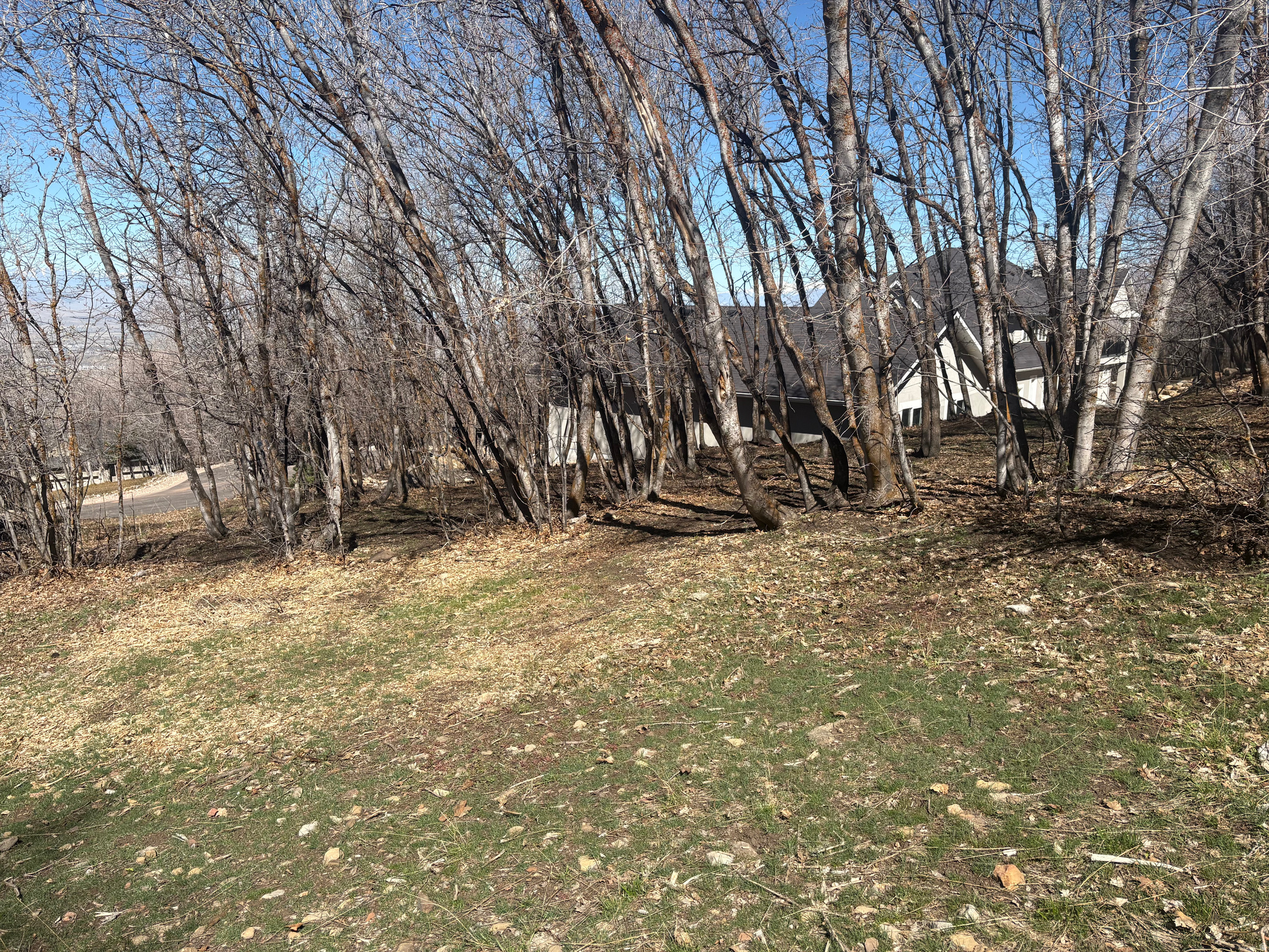 WOODLAND HILLS - Land