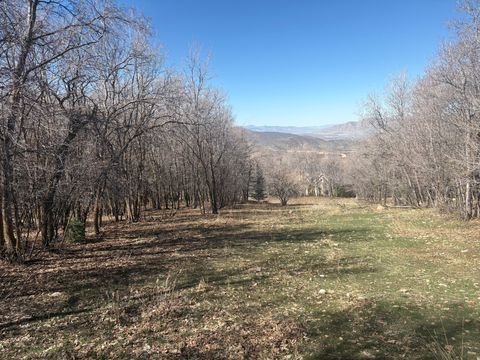 Vacant Land For Sale - 1040 S Pineview Dr #9<br/> Woodland Hills, UT 84653