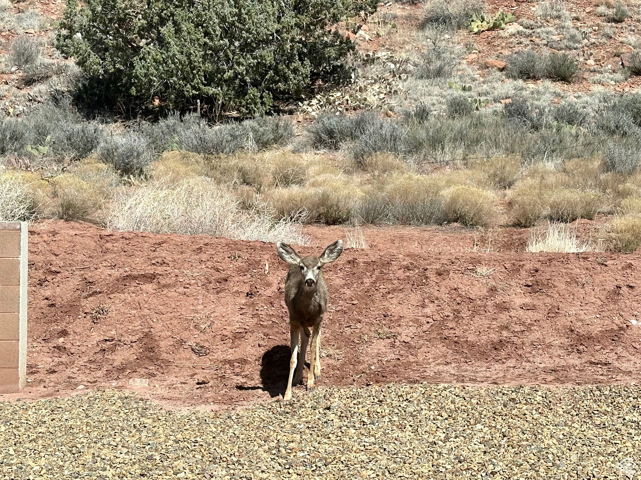 MOENAVE SUBDIV - Residential