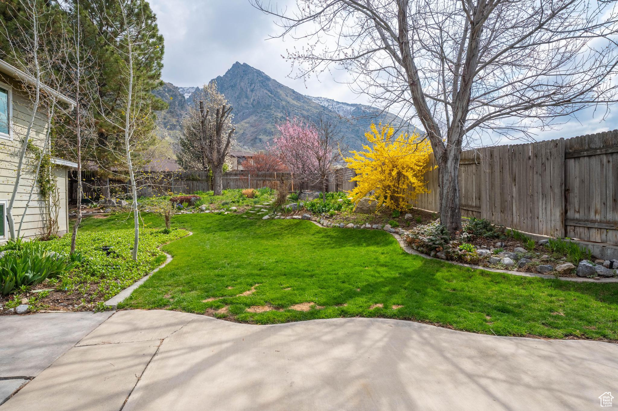 330 E 1270, Springville, Utah image 21