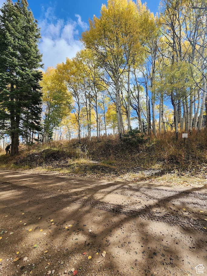Discover your private mountain retreat in Forest Meadow Ranch, Tollgate Canyon just 50 minutes from Salt Lake International Airport and 25 minutes to Kimball Junction. Surrounded by pine and aspen trees, wildflowers, and sweeping mountain views, it's the perfect setting to build your dream home. Wildlife such as elk herds and moose, common to the Park City region, frequently roam the area, enhancing the charm of this unspoiled sanctuary. Adventure, tranquility, and world-class recreation all begin here.