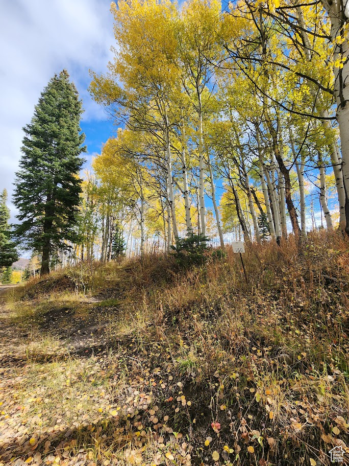 FOREST MEADOW SUBD - Land