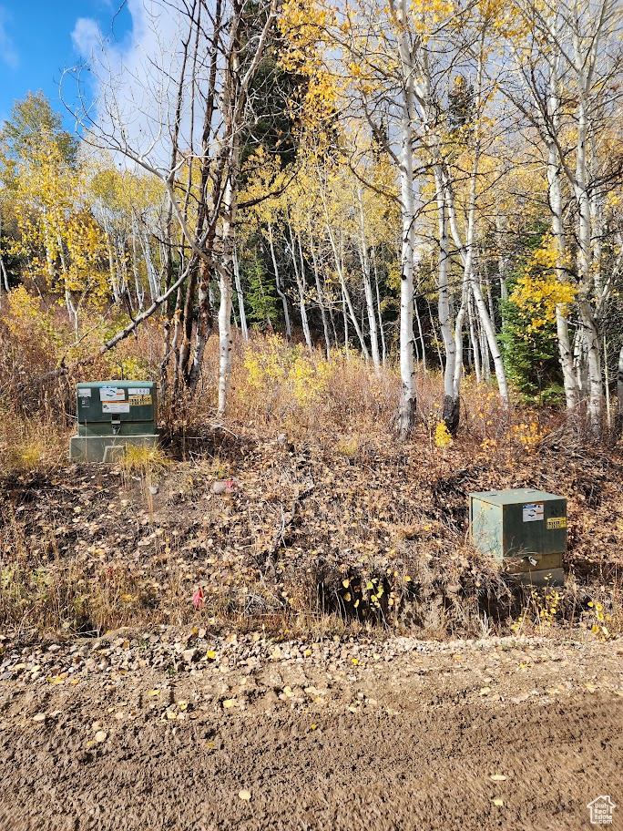 FOREST MEADOW SUBD - Land