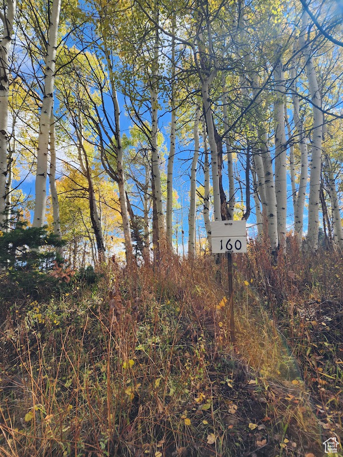 FOREST MEADOW SUBD - Land