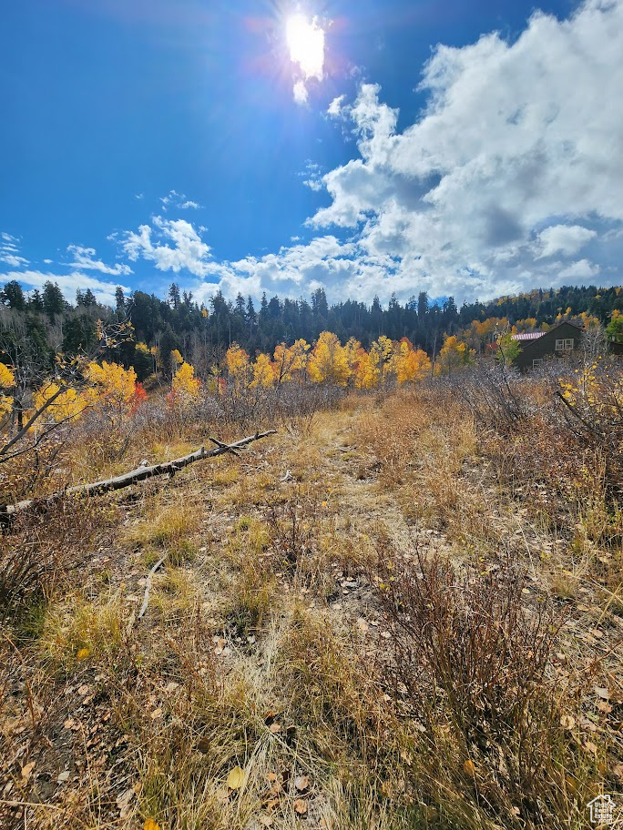 FOREST MEADOW SUBD - Land