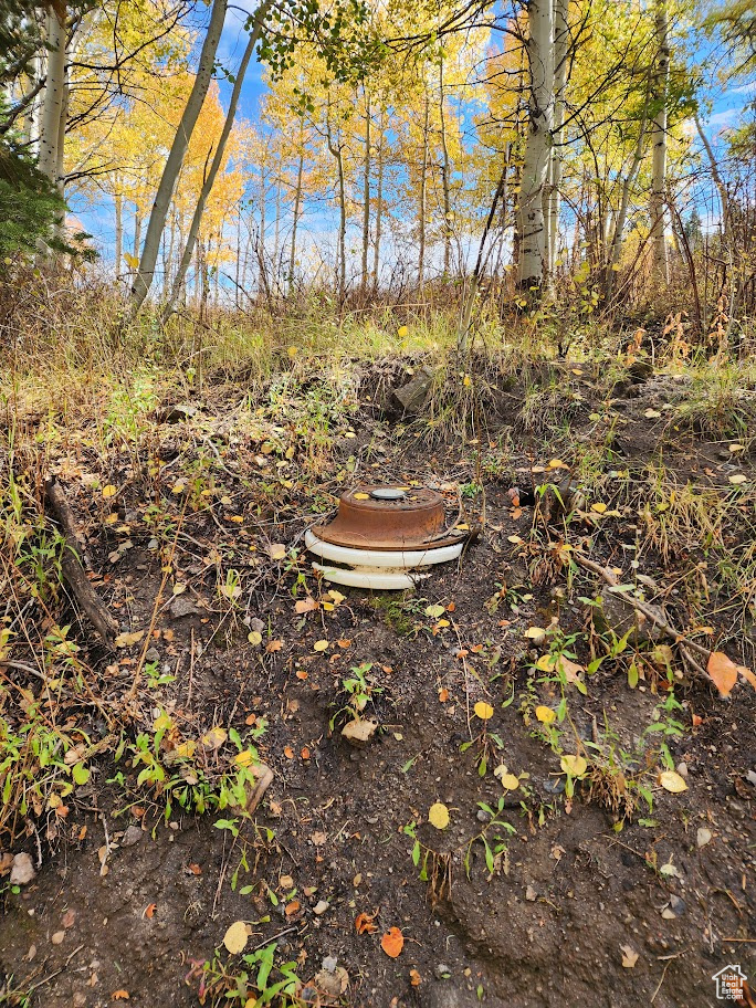 FOREST MEADOW SUBD - Land