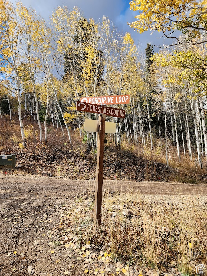 FOREST MEADOW SUBD - Land