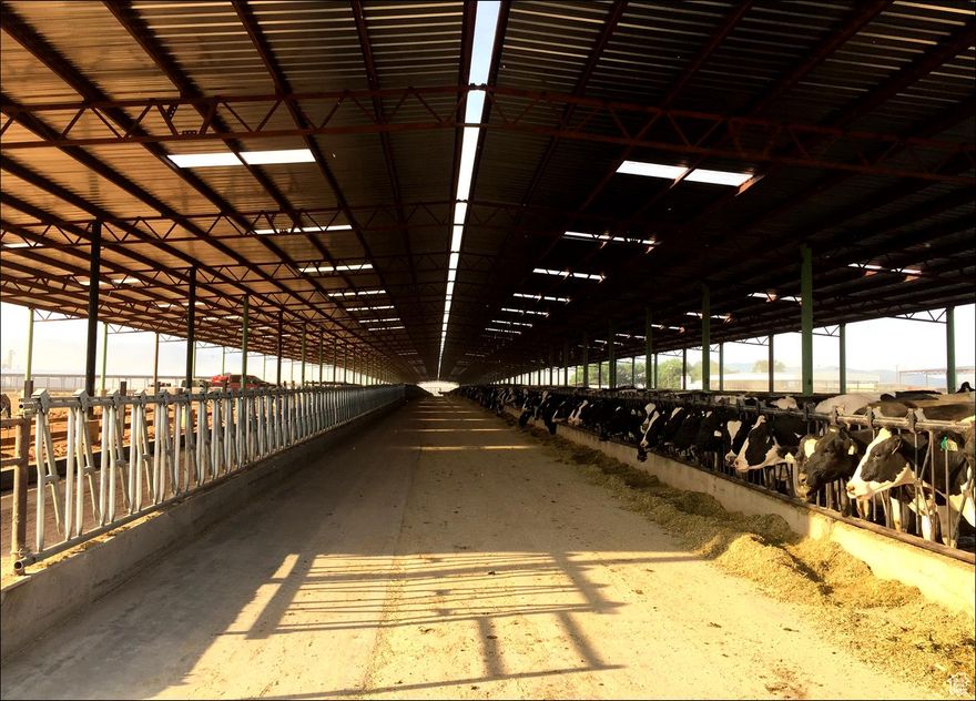 632 deeded acres, 2000-head capacity dairy near Parowan, Utah 200 irrigated acres (7-tower Zimmatic full pivot irrigating 120 acres, and 7-tower Zimmatic partial pivot irrigating 80 acres Historically run with 1,800-head, milking 3 times a day BLM grazing permit on adjoining 15 acres (expires 3/23/2025) See water right summary (enclosed) Farm yields: alfalfa: 5 tons/acre; corn: 150/bushels/acre  Significant dairy improvements: scale, offices, shops, barns, 13 feed bays, feed pens, shoots, 6-bed 3-bath home, milk barn, 10,000-gallon milk silo, 7,500-gallon milk silo, 90 x 75 foot hay barn, a 45 x 60 foot outdoor covered shop/hay storage, & a 75 x 60 foot inside shop, fencing, and corrals Contact agent for personal property list Agent must be present for all showings