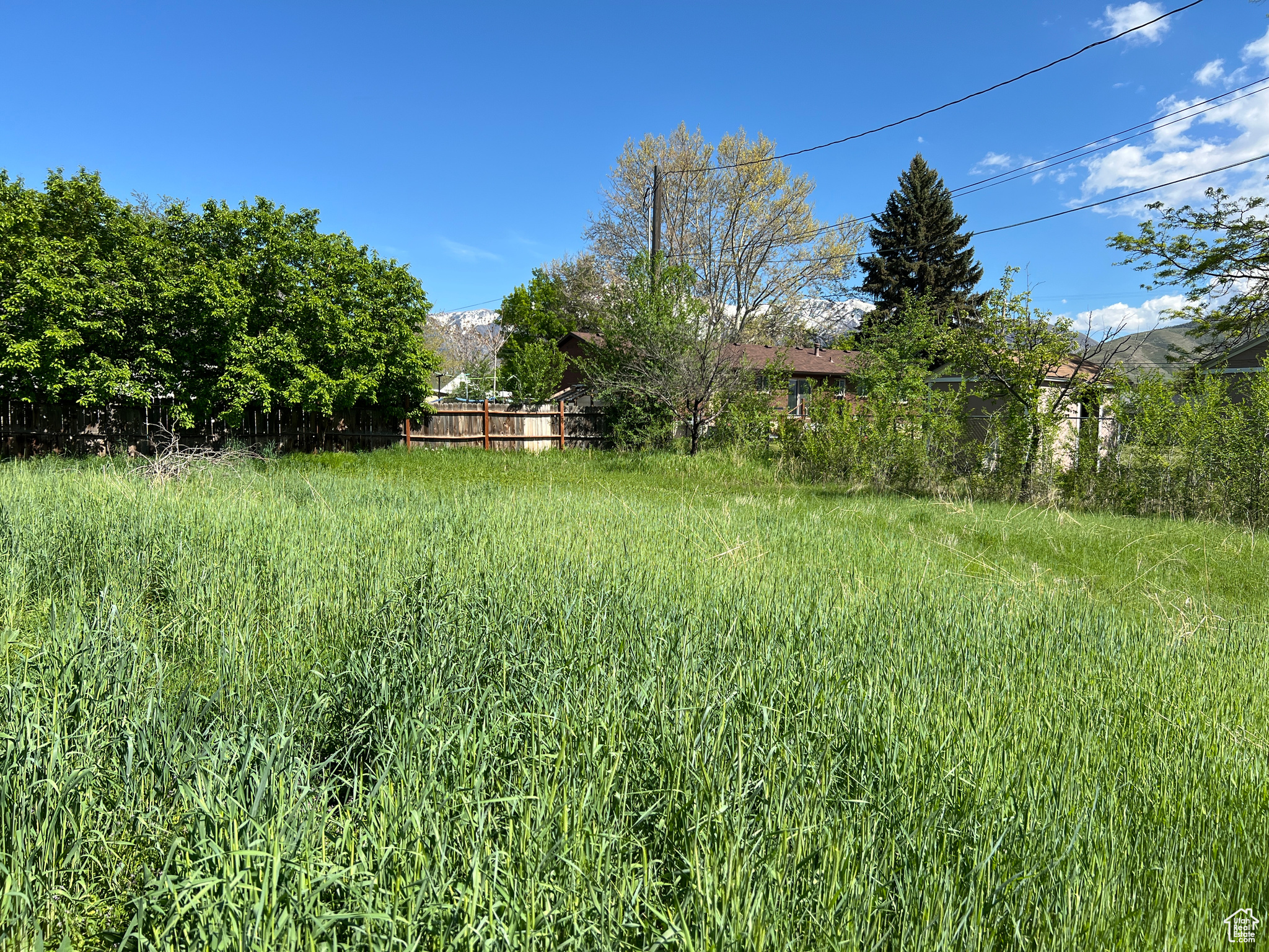 737 W Utah Ave, Payson, Utah image 22