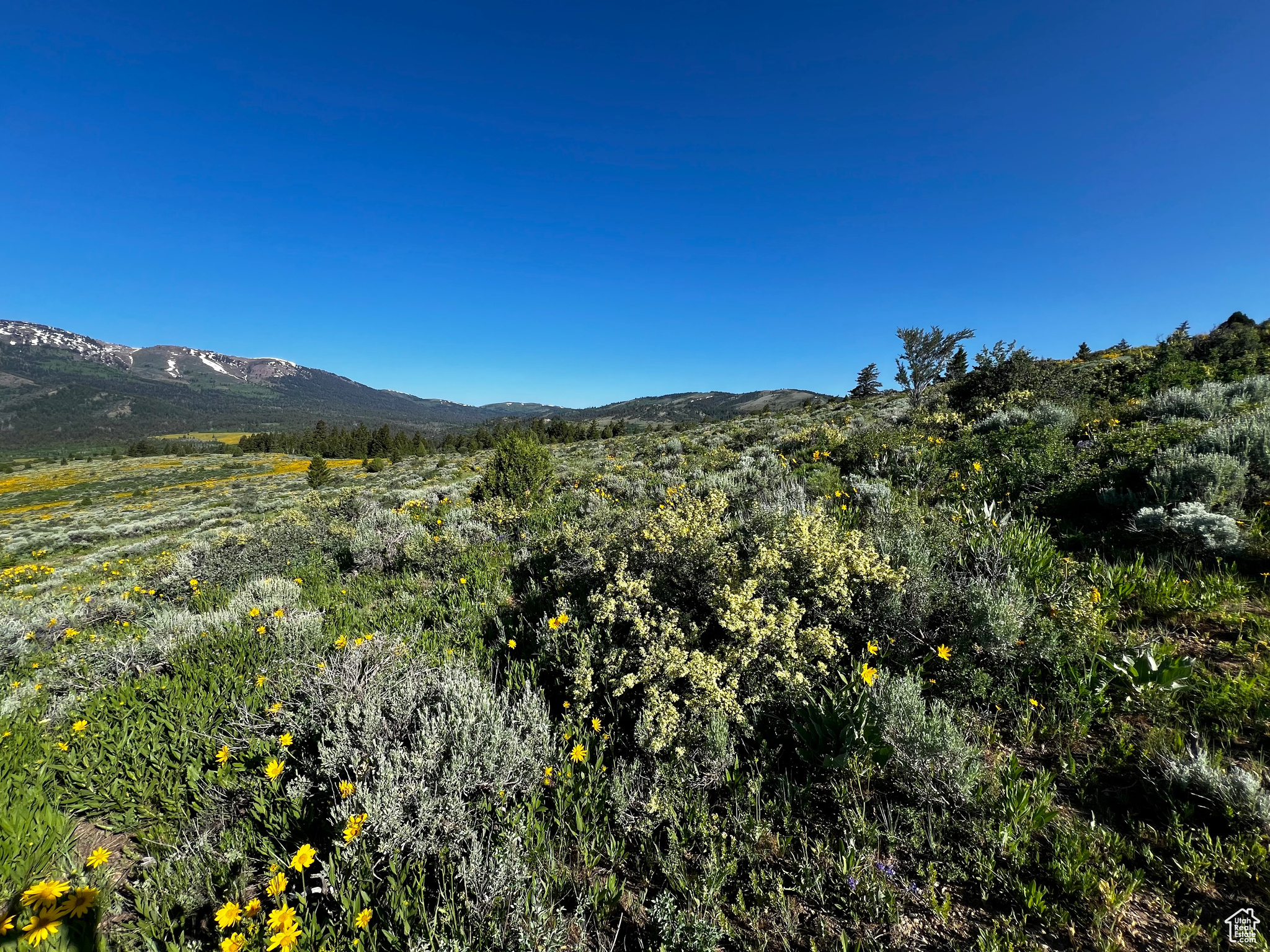 39 Caribou Cir #39, Bancroft, Idaho image 29