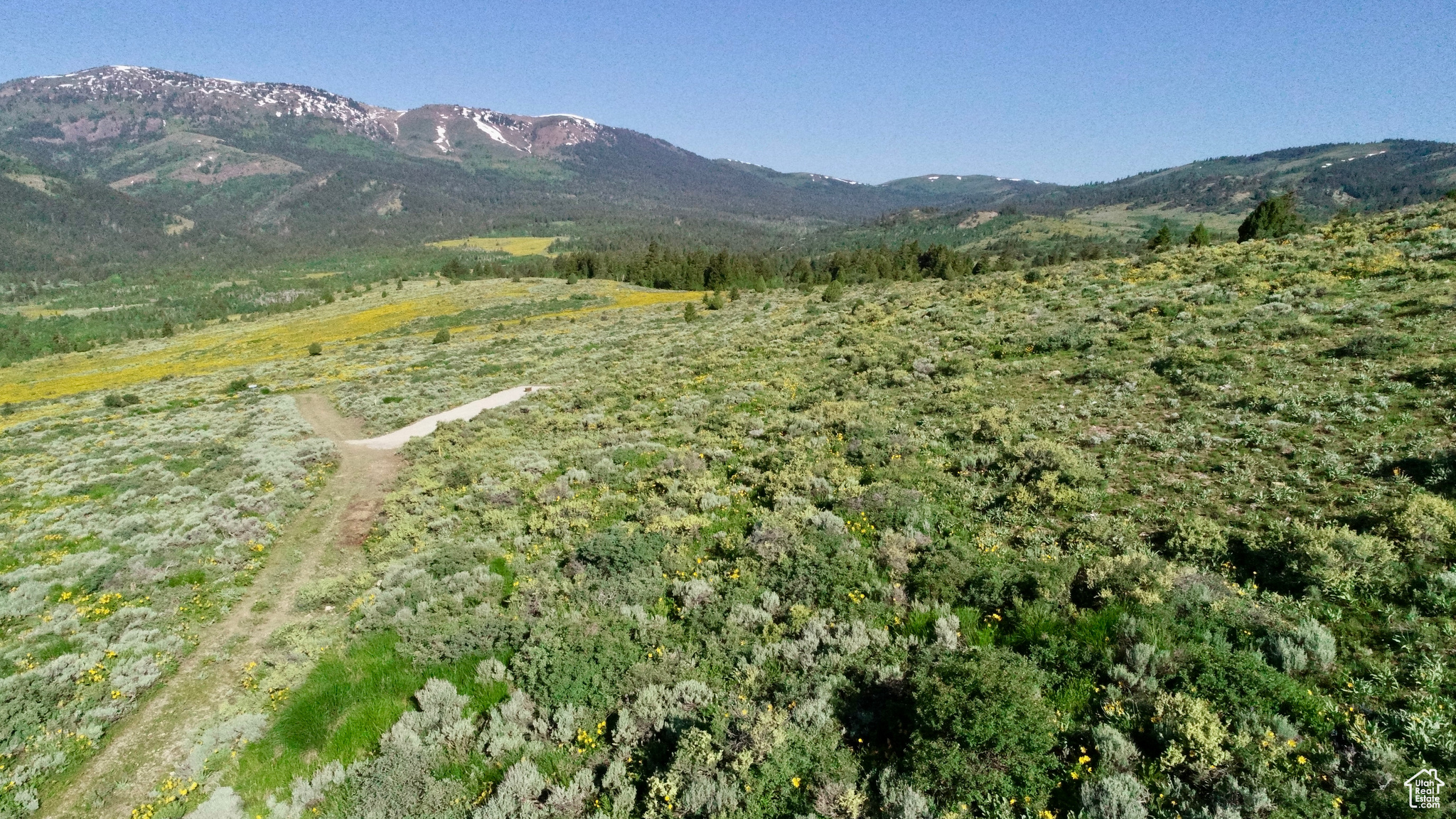 39 Caribou Cir #39, Bancroft, Idaho image 11