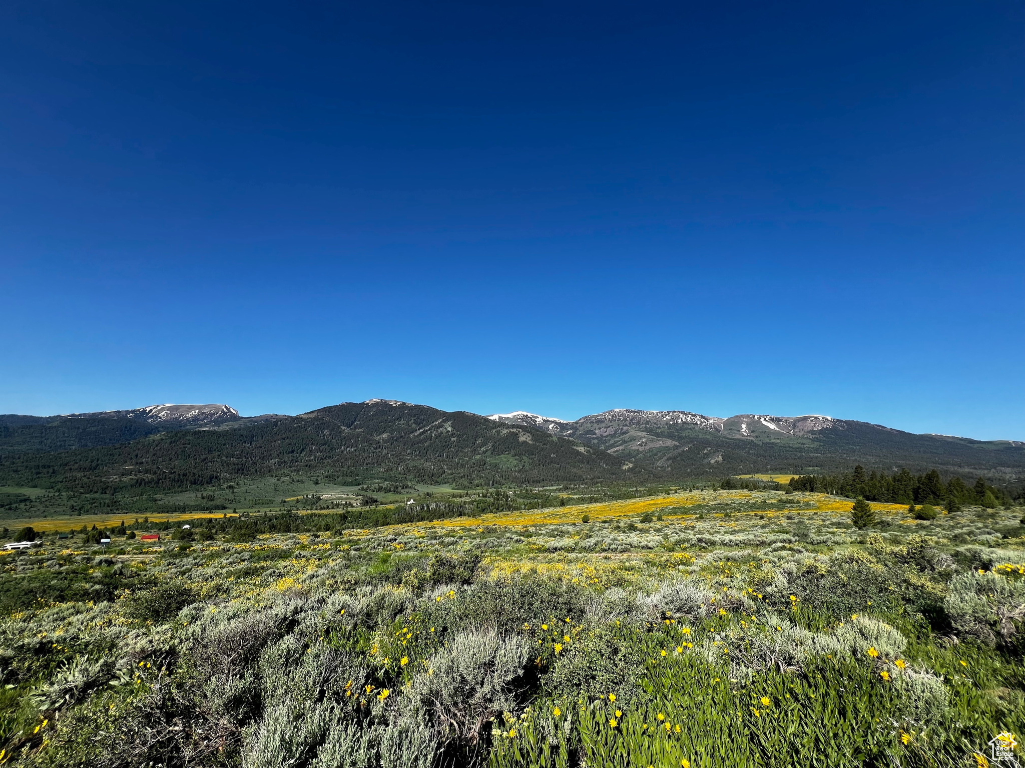 39 Caribou Cir #39, Bancroft, Idaho image 34