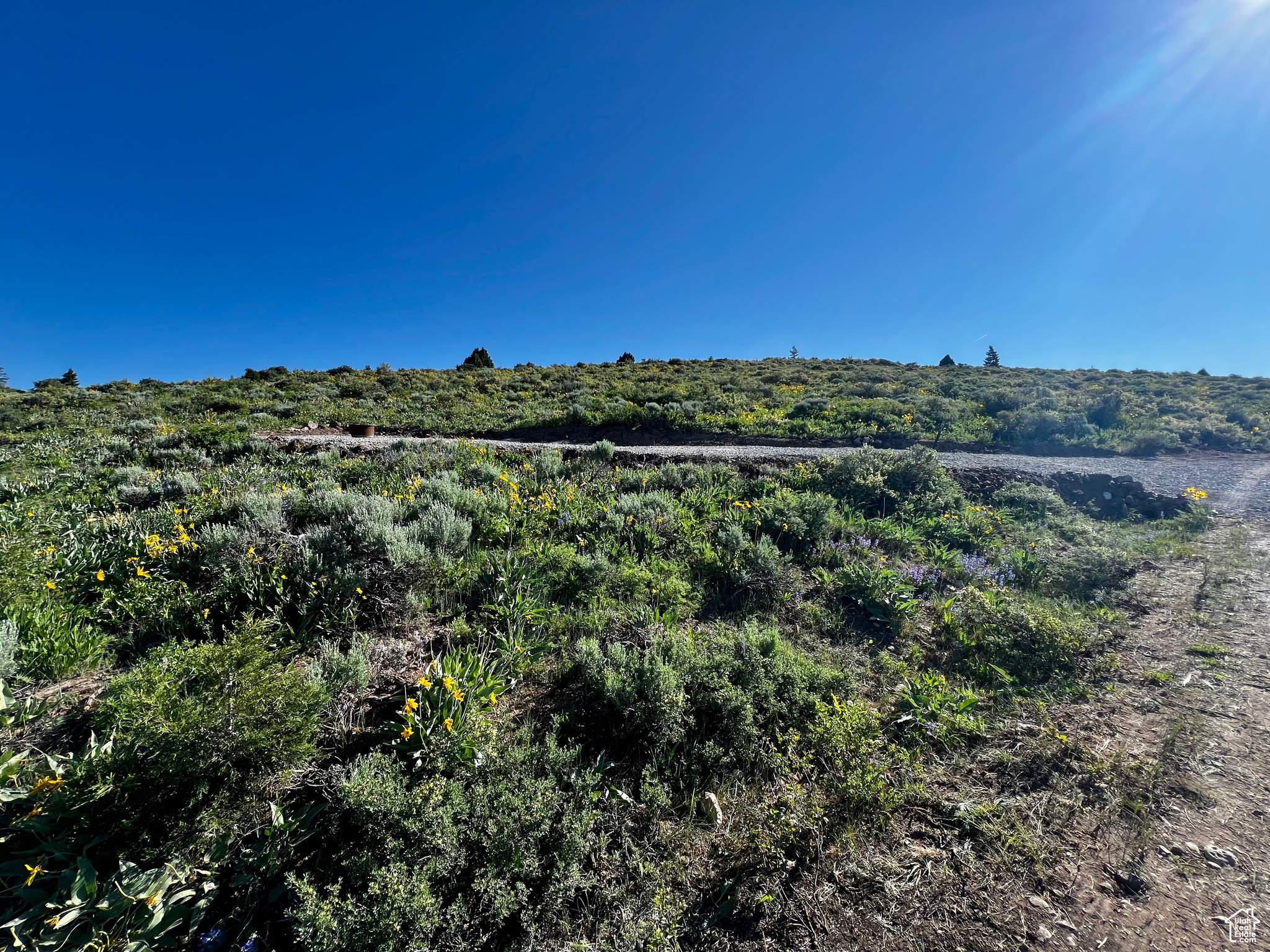 39 Caribou Cir #39, Bancroft, Idaho image 27