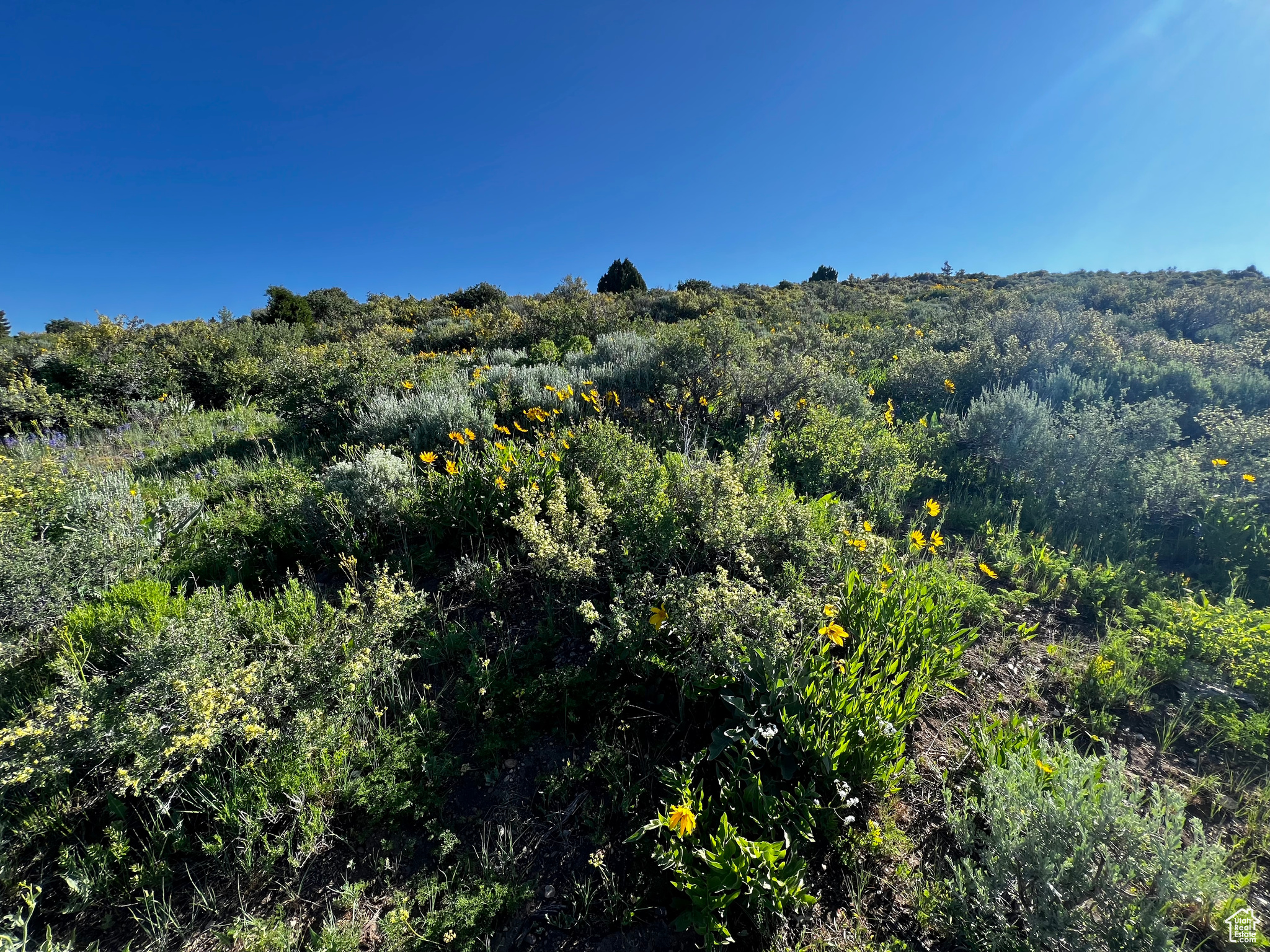 39 Caribou Cir #39, Bancroft, Idaho image 30