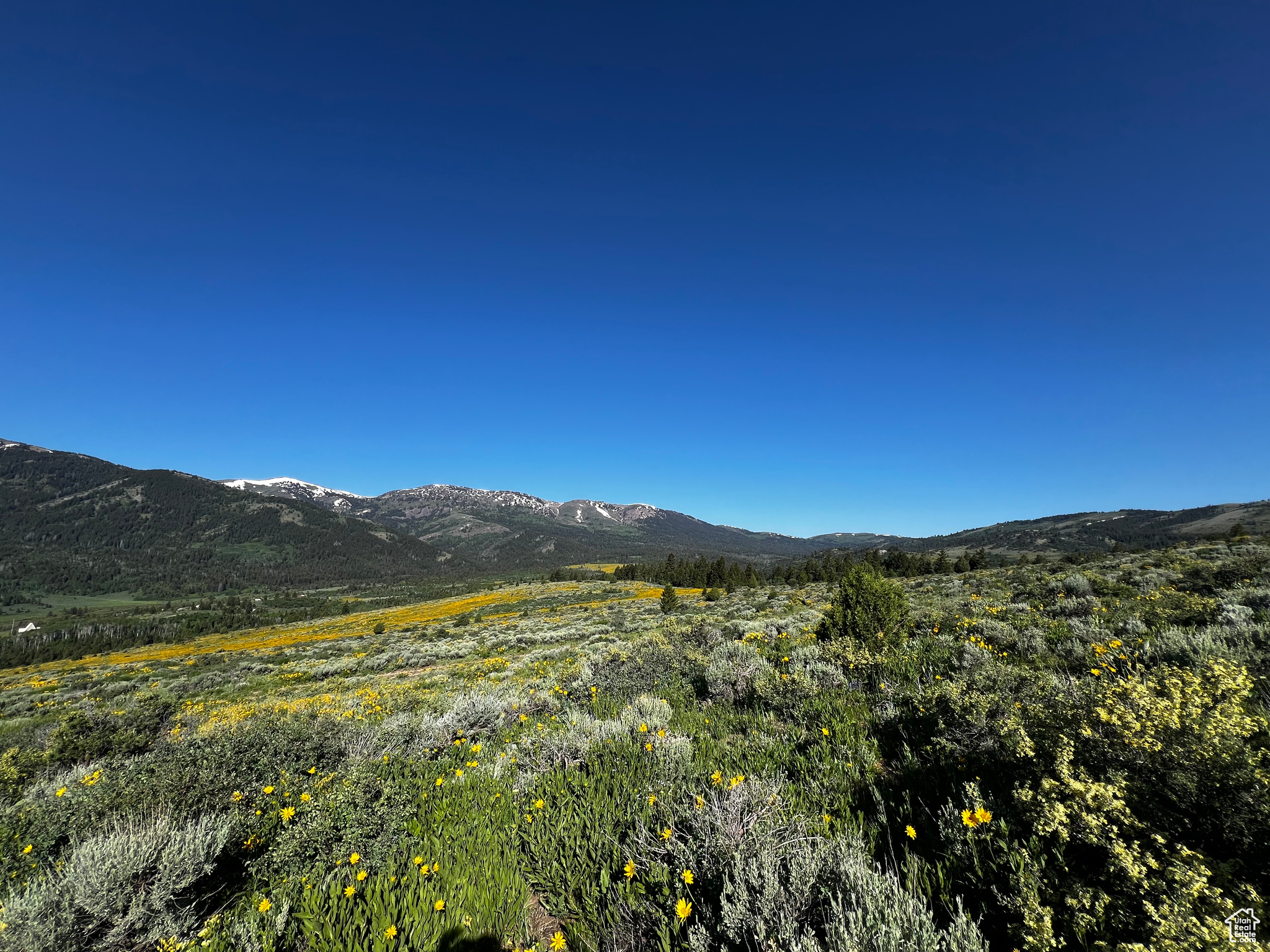 39 Caribou Cir #39, Bancroft, Idaho image 32