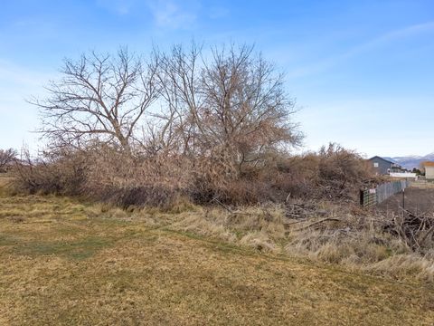 Tiny photo for Provo, UT 84601 (MLS # 2139834)