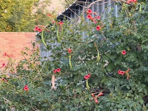 Tiny photo for 12431 S 700 E, Draper, UT 84020 (MLS # 2185442)