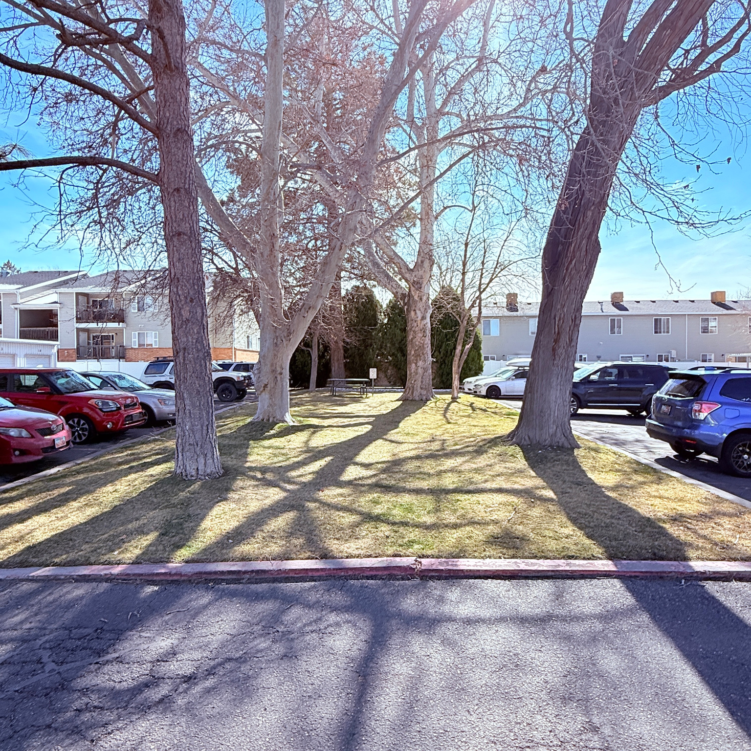 WHITE MAPLE PLACE - Residential