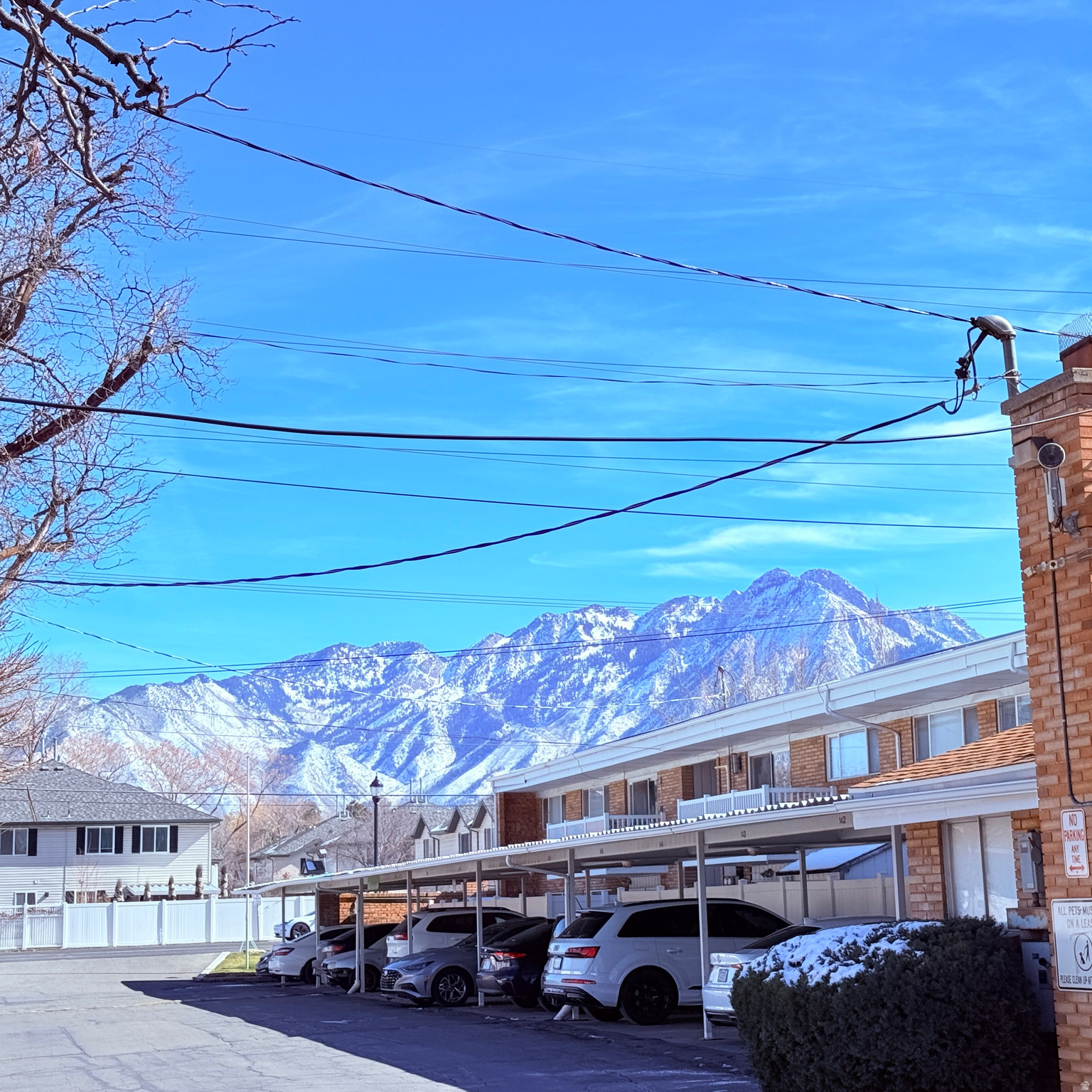 WHITE MAPLE PLACE - Residential