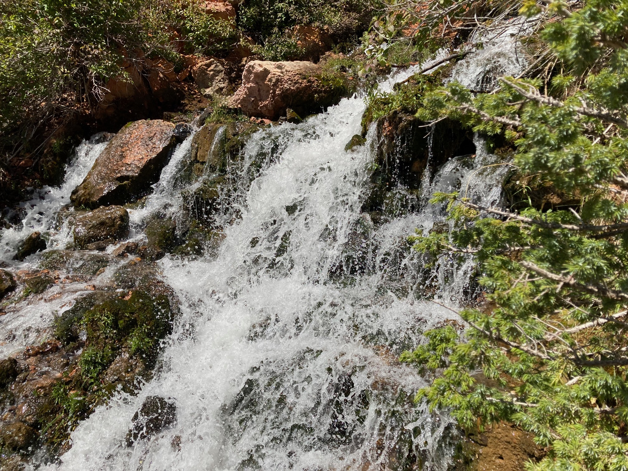 COLOR COUNTRY SUBDIVISION - Land