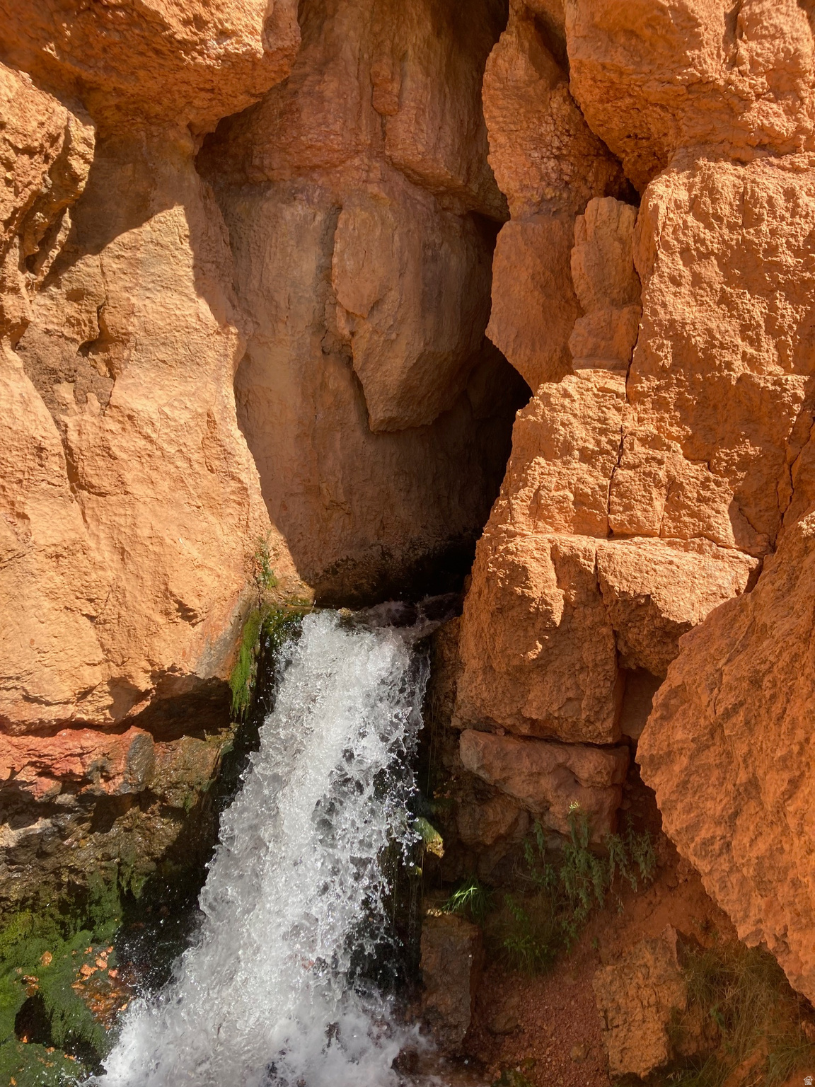 COLOR COUNTRY SUBDIVISION - Land