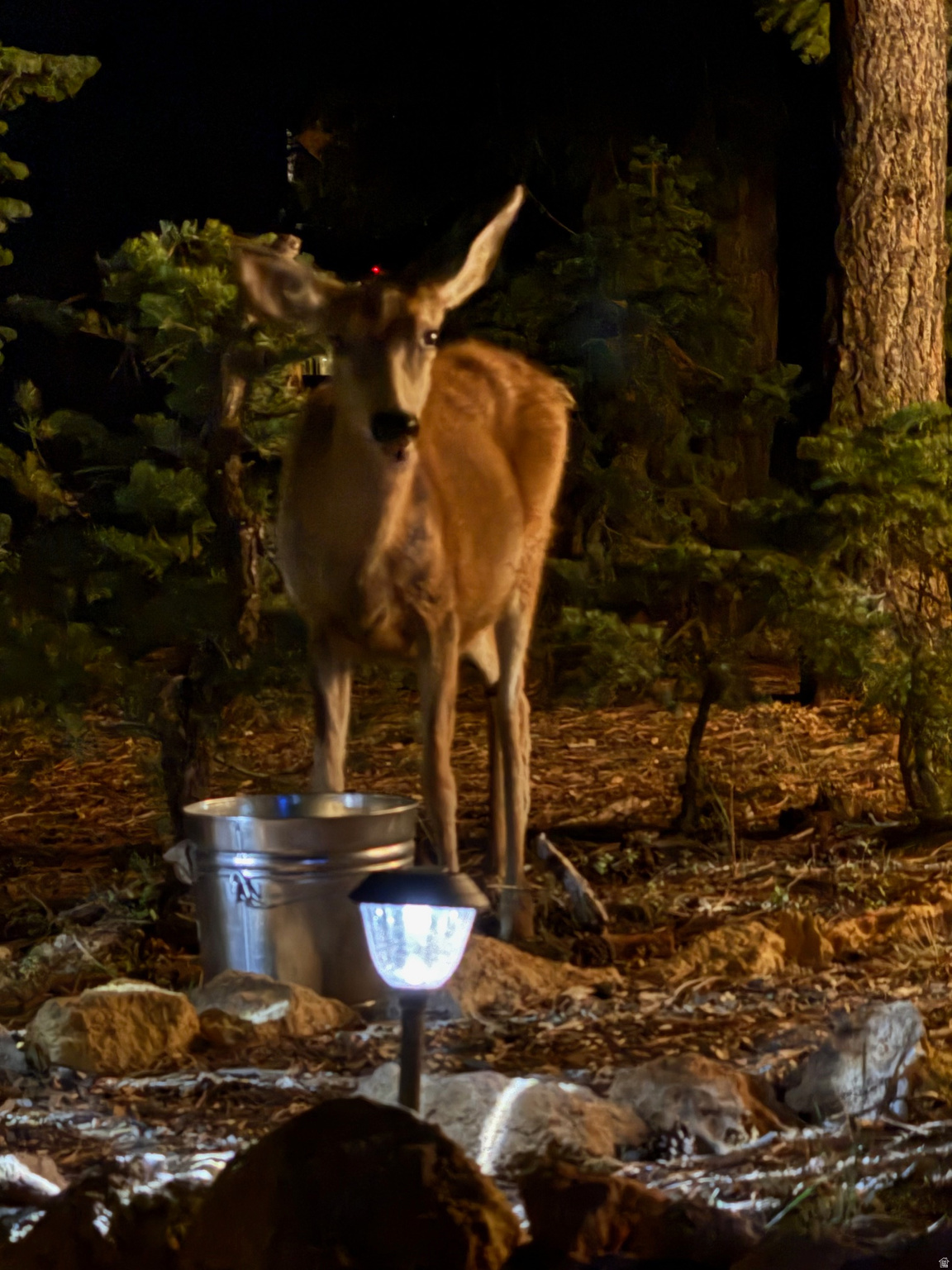 COLOR COUNTRY SUBDIVISION - Land