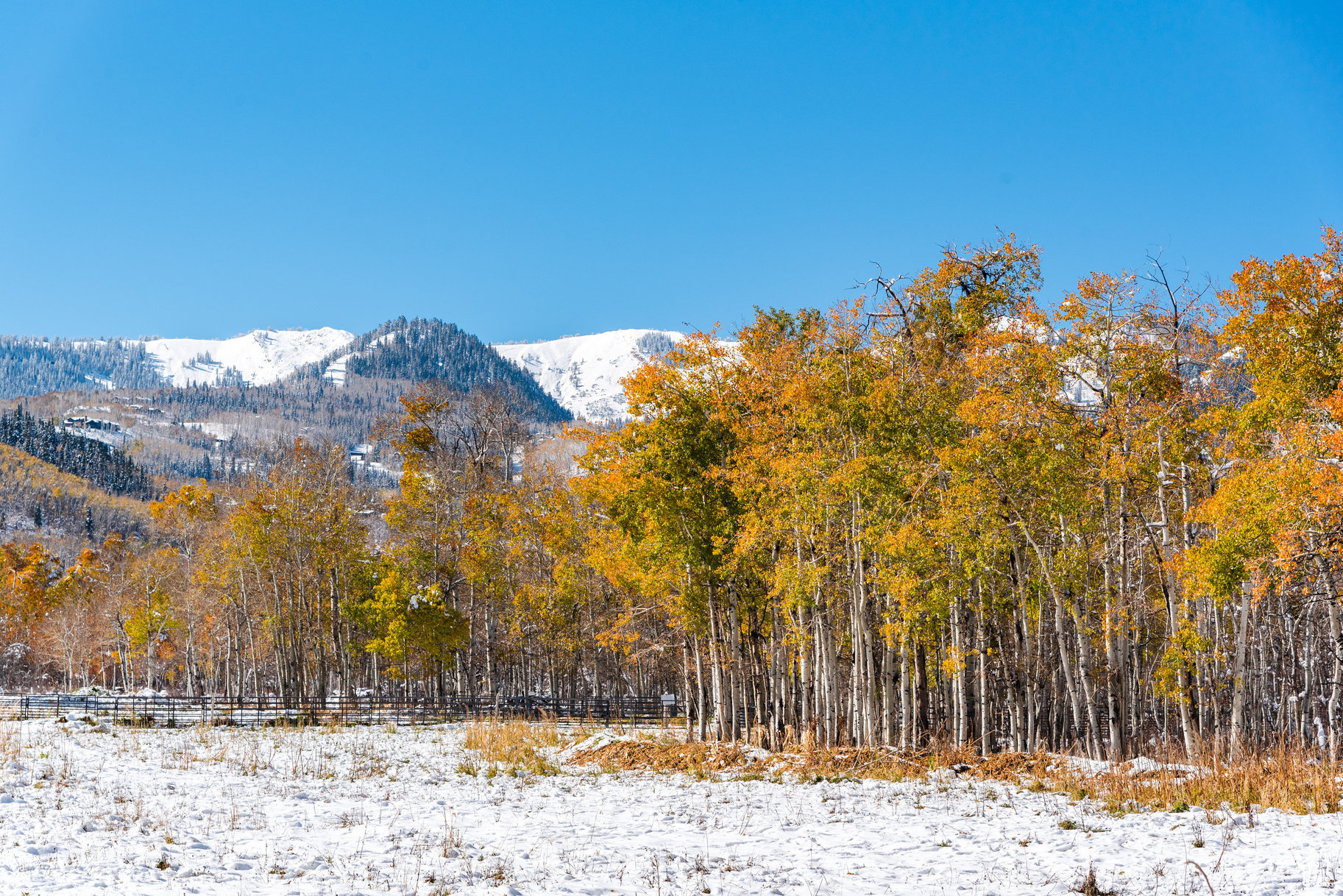 3688 Blackstone Dr, Park City, Utah image 42