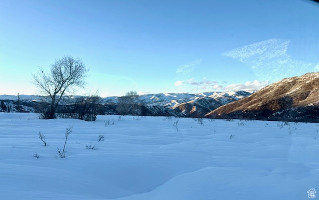 CAUSEY ESTATES - Land