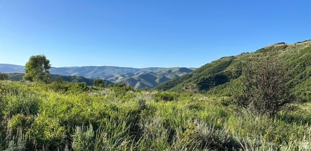 CAUSEY ESTATES - Land