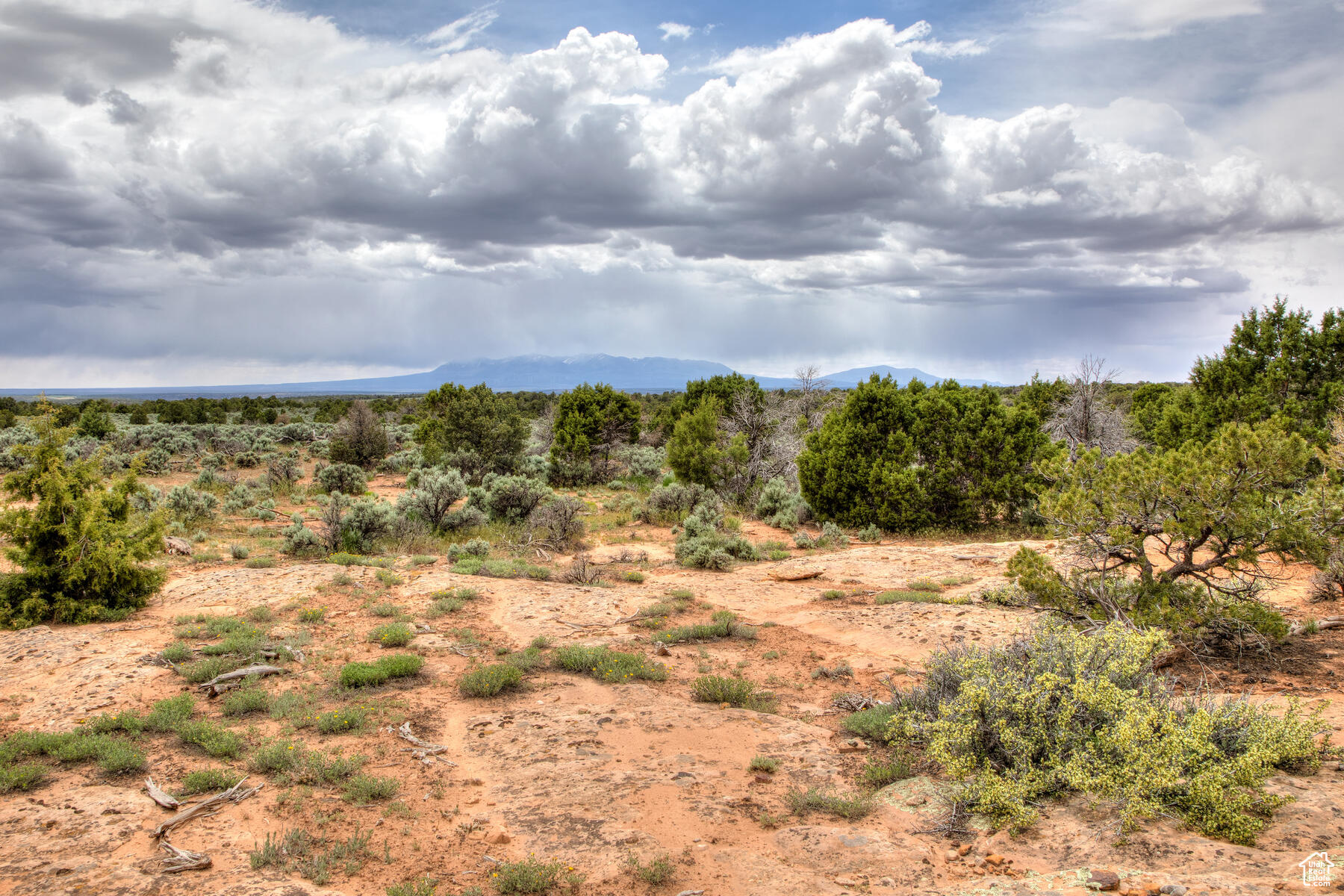 #22, Monticello, Utah image 7