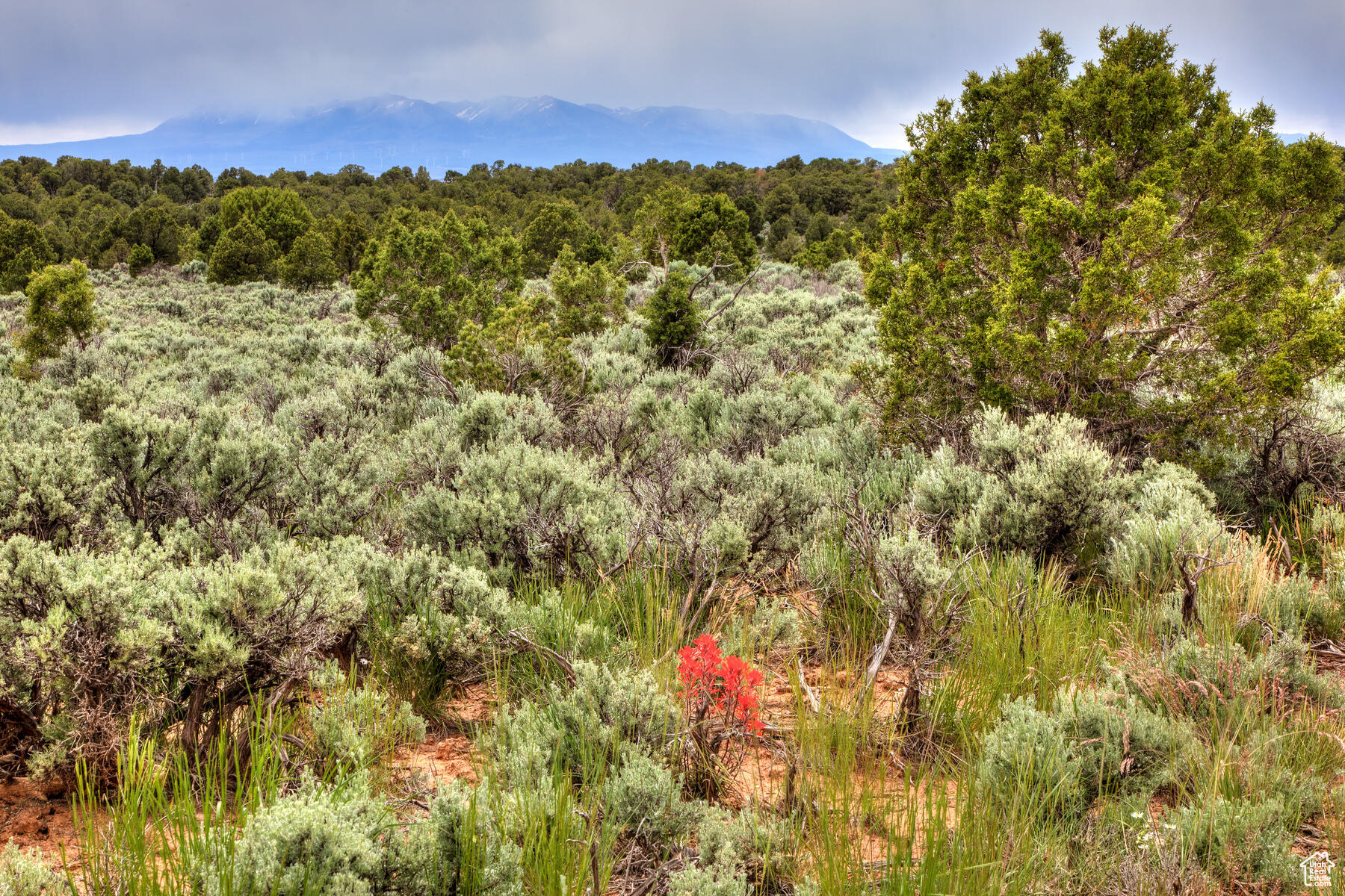 #22, Monticello, Utah image 3