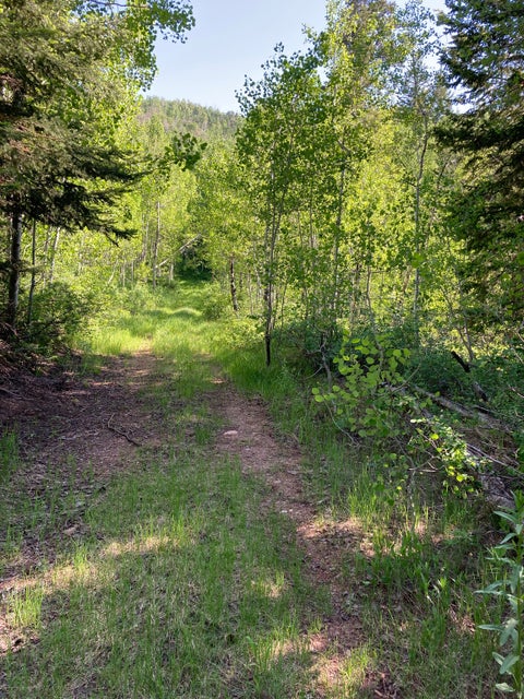 Vacant Land For Sale - Land<br/> Hyrum, UT 84319