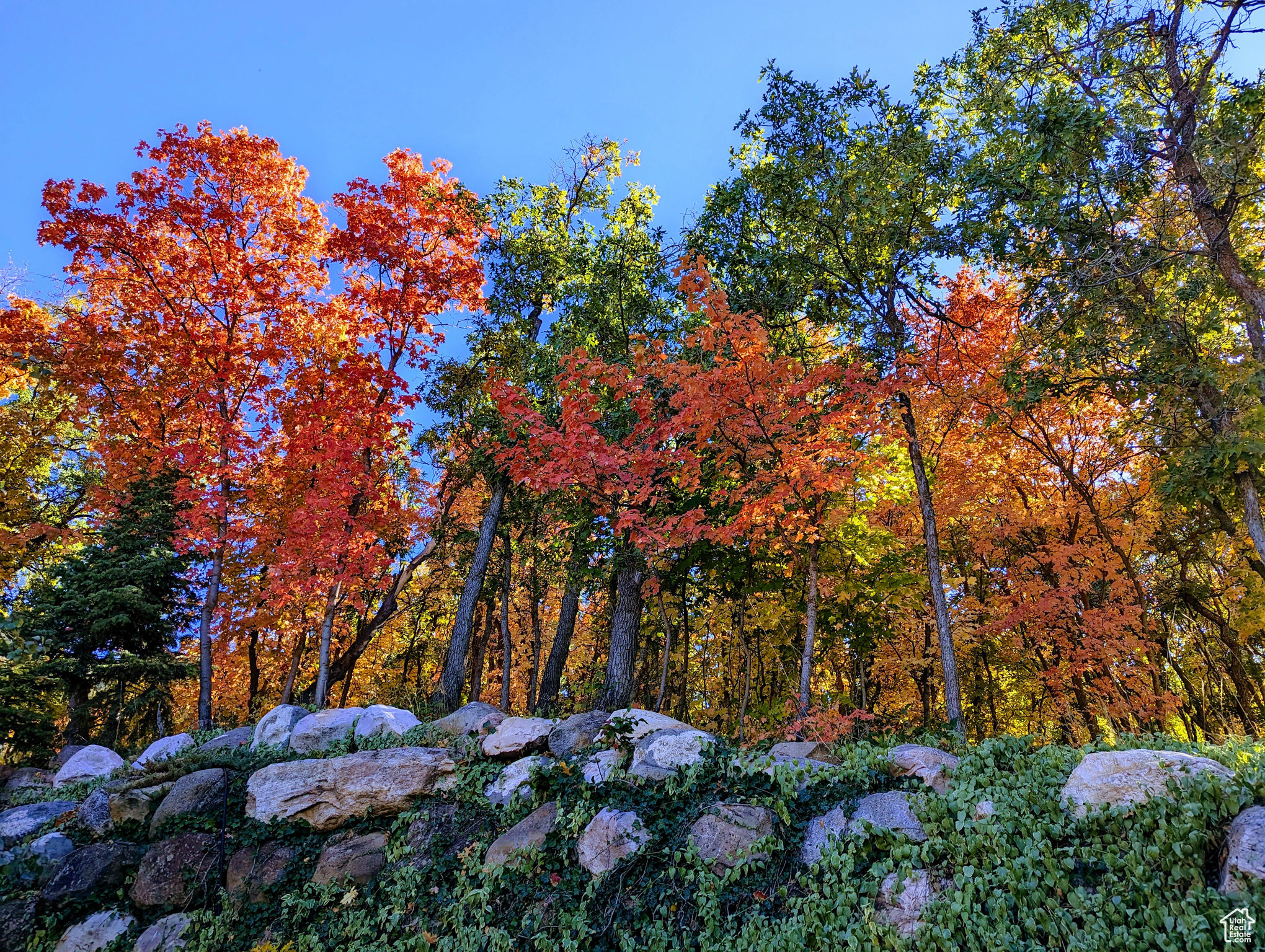 WOODLAND HILLS - Residential