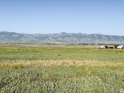 Vacant Land For Sale - 7150 N 4800<br/> Cache County, Newton, UT 84327