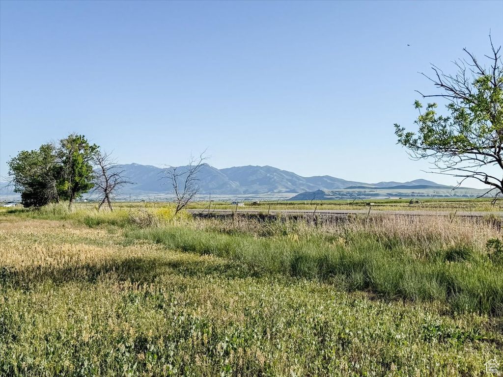 Photo of 7150 N 4800 W, Newton, UT 84327 (MLS # 2138138)