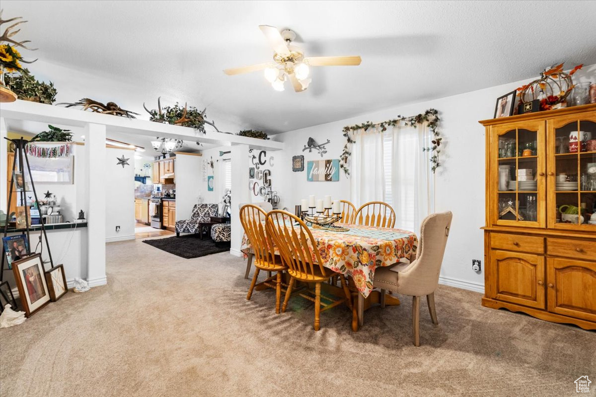 298 E 600, Manti, Utah image 9