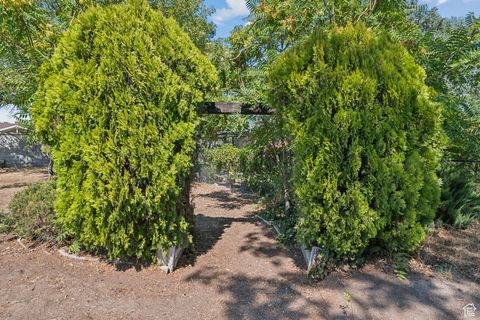 Tiny photo for 6095 S SIERRA GRANDE DR, Taylorsville, UT 84129 (MLS # 2108953)