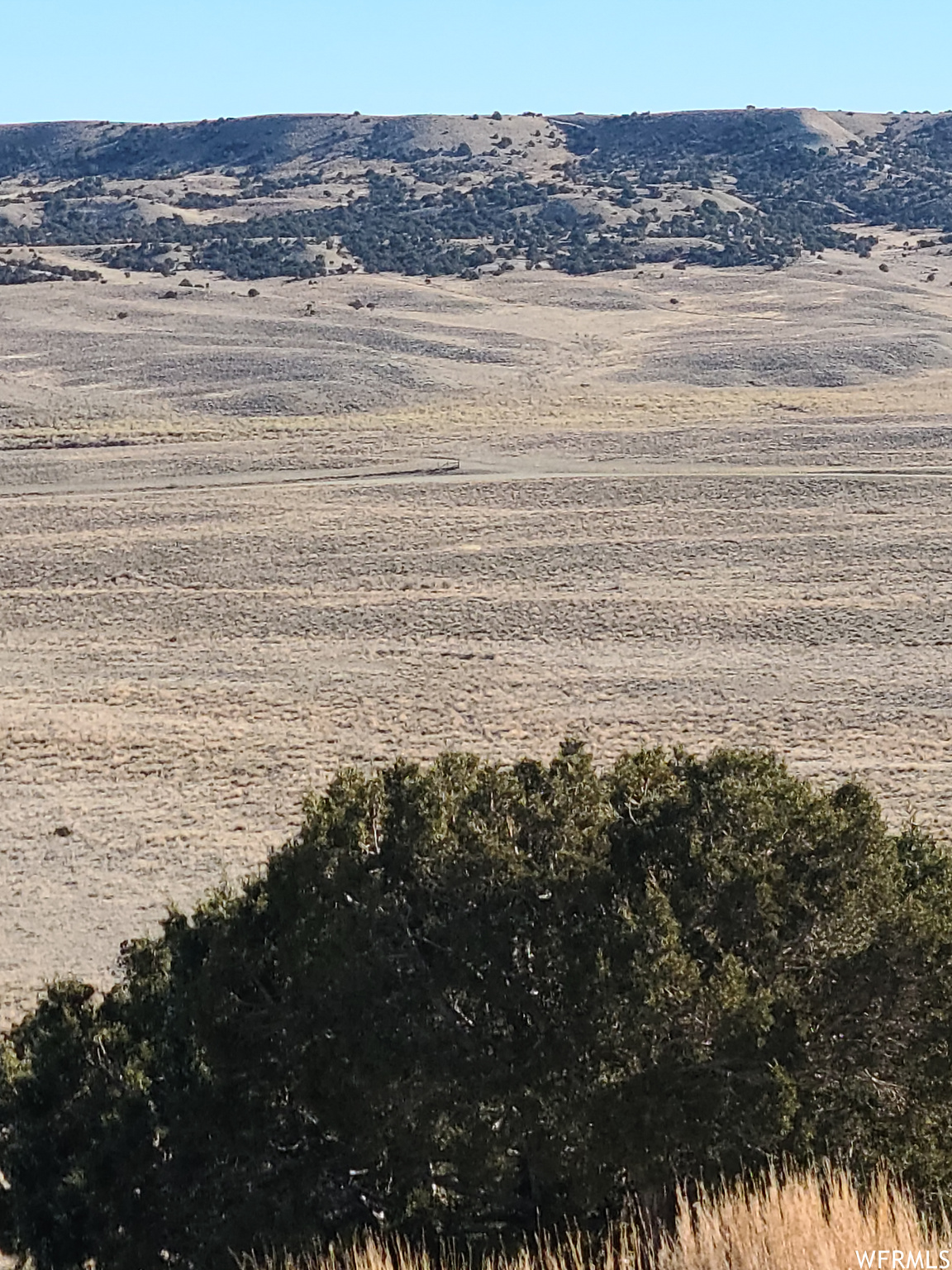 SILVER MOON RANCHES - Land