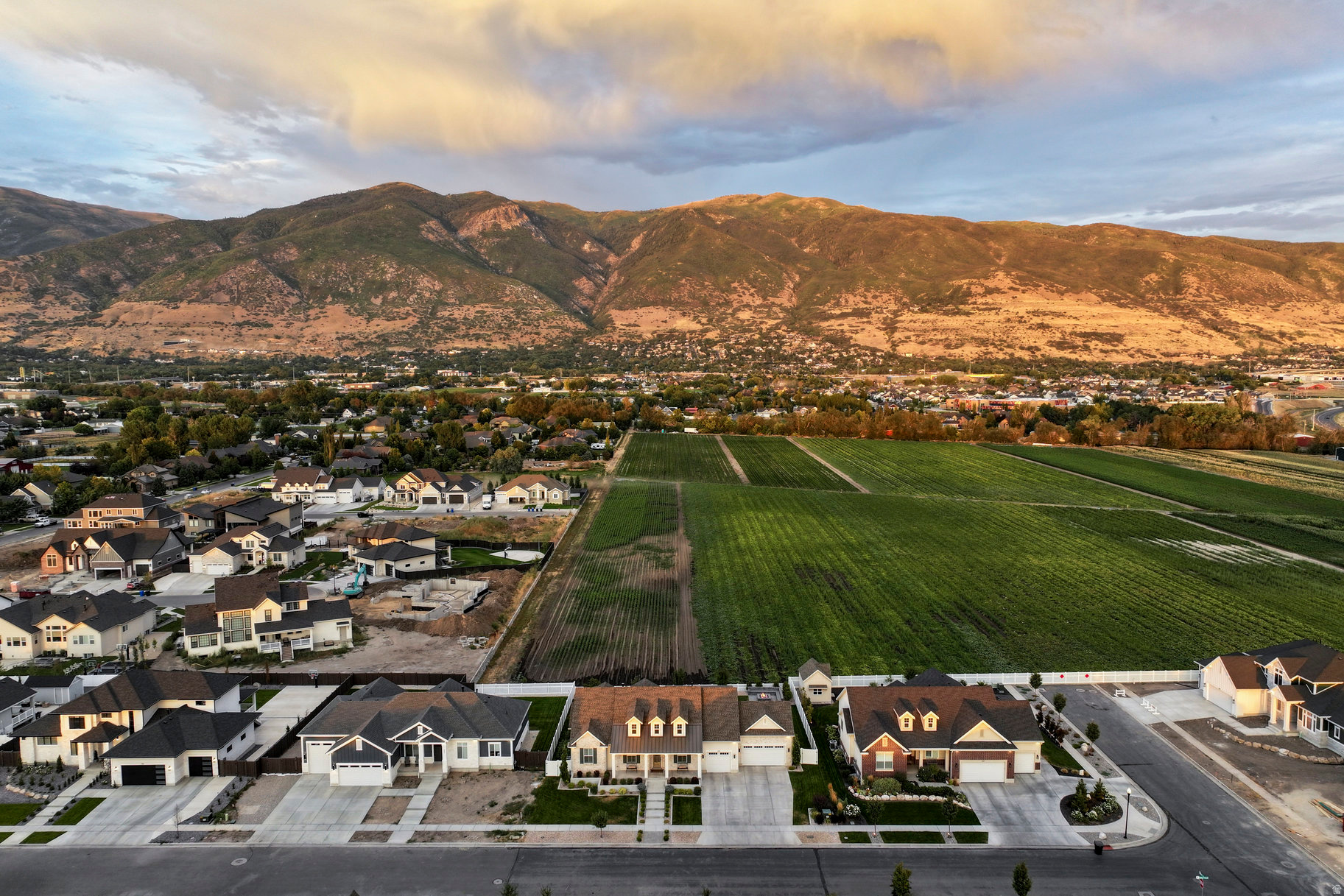 CHESTNUT FARMS - Residential