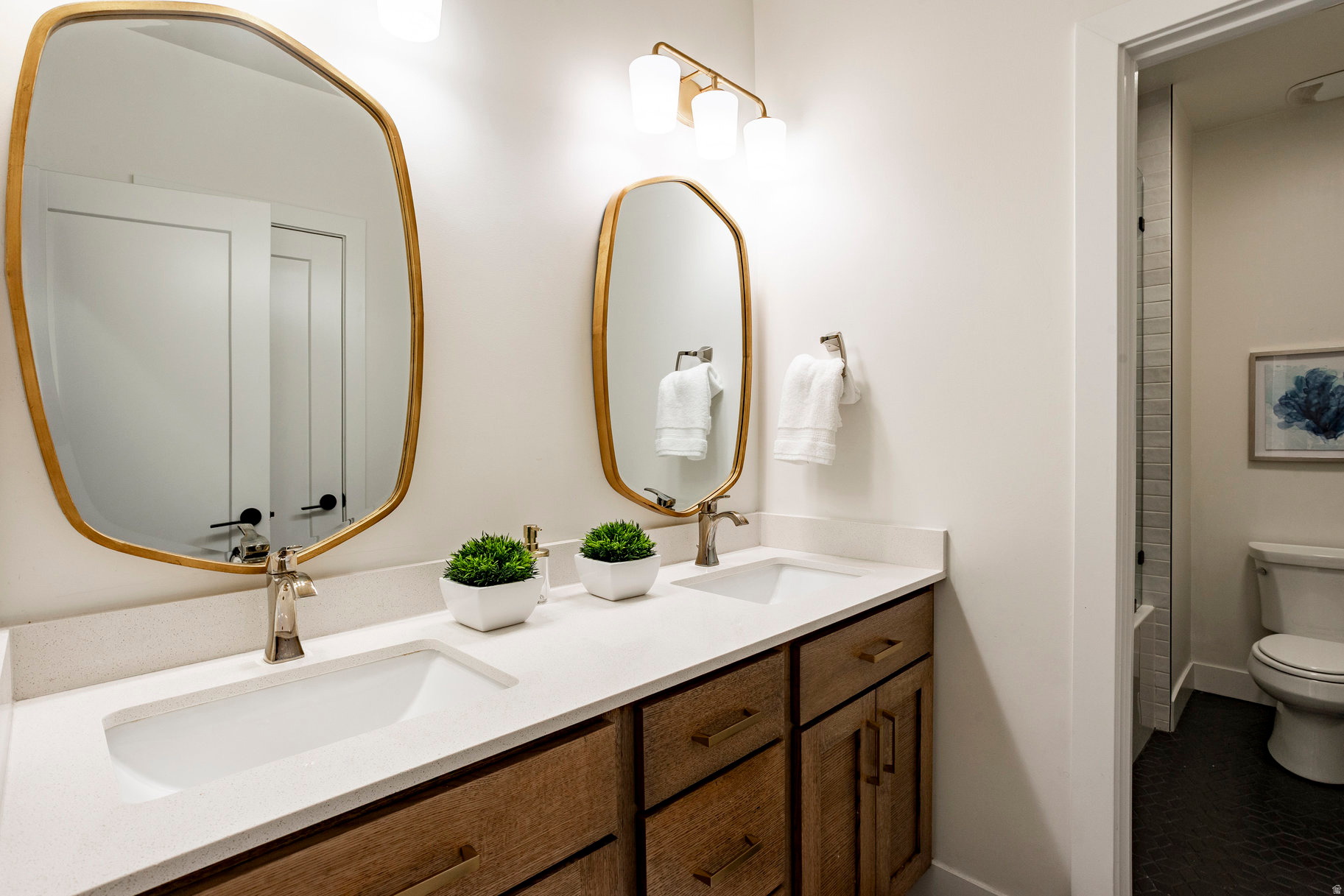 CHESTNUT FARMS - Residential